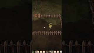 Automatic grass farm Dont Starve Together dst dontstarve shortvideodontstarvetogether shorts [upl. by Ordisy]