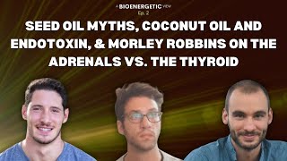 BV 2 Morley Robbins on the Adrenals vs Thyroid Seed Oil Myths and Coconut Oil amp Endotoxin [upl. by Joachima]