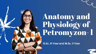 Anatomy and Physiology of Petromyzon  l l BSc lll Year and MSclI Year l Dr Ranjana Gupta l [upl. by Ecinrahs]