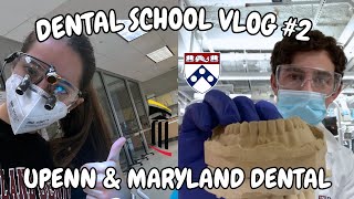 Dental School VLOG 2  Impressions Restorations etc [upl. by Gusella]