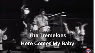 Here Comes My BabyTremeloes [upl. by Tillio]