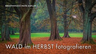 Wald im Herbst fotografieren [upl. by Tshombe]