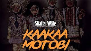 Shatta Wale  Kaakaa Motobi [upl. by Winterbottom819]