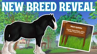 NEW HORSE BREED HAS BEEN REVEALED IN WILD HORSE ISLANDS [upl. by Cirilla236]