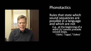 Phonology Part 1 Phonotactics [upl. by Anitnauq]