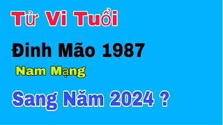 Tử vi tuổi Đinh Mão 1987 nam mạng bước sang năm 2024 sẽ ra sao [upl. by Zosema]