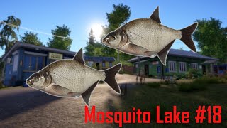 Russian Fishing 4  RF4  Mosquito lake  komarówka  BREAM  Leszcz  SPOT LIVE [upl. by Anerrol]