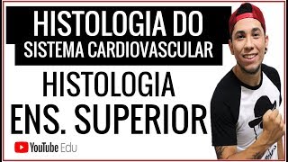 Aula Histologia do Sistema Cardiovascular │Aula de Biologia [upl. by Gauldin]