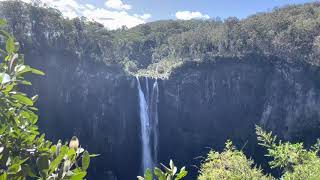 Ellenborough Falls weekend trip from Sydney [upl. by Peterman]