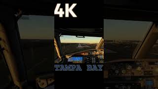 LANDING THE MAX KTPA mfs live americanair aviation msfs20 americanairlines flightsim [upl. by Bird143]