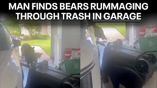 Man finds bears rummaging through trash in garage [upl. by Pare843]