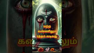 சிவபெருமானுக்கு மாமிசத்தை படைத்த வேடனை பற்றி தெரியுமா mahabarath lingam shiva [upl. by Eitak]