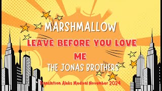 Marshmallow and Jonas Brothers quotLeave before you love mequot [upl. by Travis326]