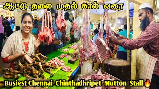 💥💯பரபரப்பான சென்னை சிந்தாதிரிப்பேட்டை Mutton Market😍🔥 Media பட்டதாரி chintadripetfishmarket [upl. by Ytineres]