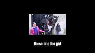 The Girl got Bitten by the Horse  Kings Guard Horse  London [upl. by Laiceps436]