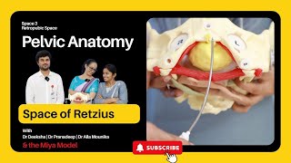 Pelvic Anatomy  Episode 03  Retropubic Space  Space of Retzius  Prevesical Space [upl. by Clayton]