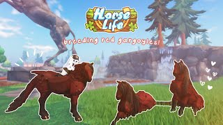 breeding red gargoyles  horse life roblox [upl. by Oraneg]