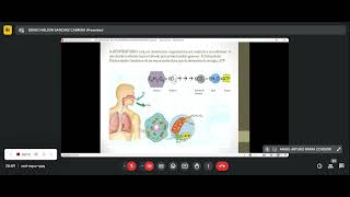 Clase fisiopatología  Enfermedades respiratorias [upl. by Martreb]