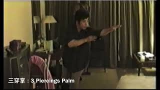 Xu Shi Xi demonstrates Yin style Baguazhang Palm change strategies [upl. by Euqinimod]