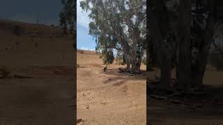 JoyRide Cup  Shepparton 2024 mtb mountainbikejumps downhill mtbjump mtbjumps jump [upl. by Aldwin]