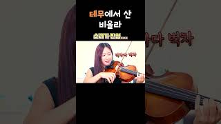 소몰이 창법 테무비올라 ㅎ [upl. by Cyd180]