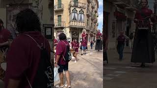 Gegants de Tortosa culturapopular viralshorts [upl. by Llertniuq]