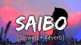 Saibo slowed and reverb [upl. by Portugal]