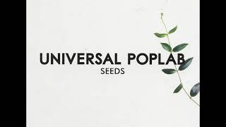 Universal Poplab  12 The Way Things Work  Seeds 2008 [upl. by Arabeila321]