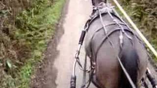 Sliding shafts horse carriage [upl. by Ahgiela]