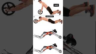 wheel Rollout  Body building workout youtubeshorts [upl. by Annocahs]