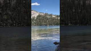 Beautiful Tioga Pass Road in Summer [upl. by Uria284]