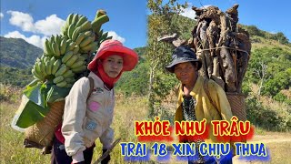 KHỎE NHƯ TRÂU 2 người phụ nữ vác 2 gùi CHUỐI CỦI ai nhìn thấy cũng BÁI PHỤC  tập 932 [upl. by Anaahs511]