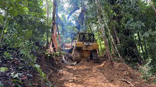 Cat D6r XL bulldozer conquers a mountain full of struggle [upl. by Haggerty15]