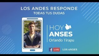 Cambios que se aplican en ANSES  Los Andes Responde [upl. by Marcille]