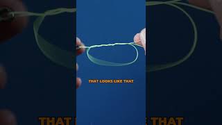 How To Tie a UNI KNOT fishing fishingknot uniknot [upl. by Ydnar550]