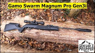 Gamo Swarm Magnum Pro Gen3i 10X Air Rifle Review  Excellent SHTF Choice [upl. by Hayifas]