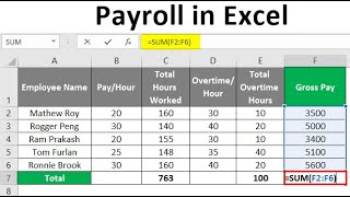 Easy Payroll System In Excel [upl. by Colene]