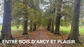 ENTRE BOIS D’ARCY ET PLAISIR [upl. by Euqinomod]