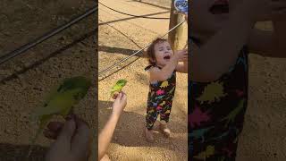 Rosie with parakeets at Zoofari [upl. by Iatnwahs]