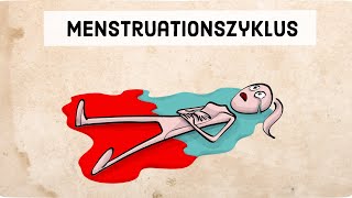 Der Menstruationszyklus [upl. by Ardnaeel220]