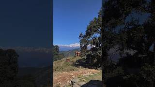 Ride the edge⛰️ feel alive✌🏻 youtubeshorts mountains biking youtubegrowth choptatotungnath [upl. by Adnalra]