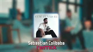 Smiley  Cum te vad eu Sebastian Colibaba Remix [upl. by Htiel569]