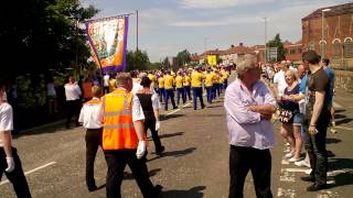 caldercruix defenders at coatbridge demonstration [upl. by Christian]