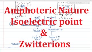 9 Isoelectric point and zwitterions  Amphoteric Nature of Amino acids  Calculate isoelectric pH [upl. by Vidovik]