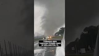 A tornado ripped through power lines in South Florida as Hurricane Milton closed in [upl. by Enilav]