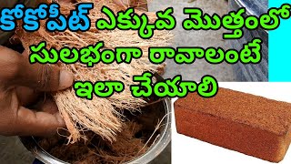 How to make cocopeat at home in telugu  cocopeat making  cocopeat  with coconut husk [upl. by Lotte904]