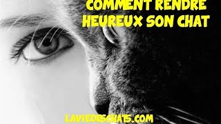 Comment rendre heureux son chat 🐱 [upl. by Zandra396]