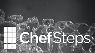 Food Science • Liquid Nitrogen Under Vacuum • ChefSteps [upl. by Jody]