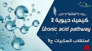 🕵️‍♂️كيمياء حيوية 2  استقلاب السكريات  وماذا عن Uronic Acid pathway  🙋‍♂️ [upl. by Lalitta344]