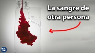 ¿Qué Pasa Si Recibes Sangre de Otro [upl. by Najtsirk]